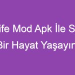 BitLife Mod Apk İle Sanal Bir Hayat Yaşayın!