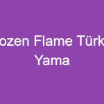 Frozen Flame Türkçe Yama