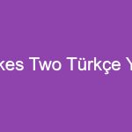 It Takes Two Türkçe Yama