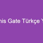 Lemnis Gate Türkçe Yama
