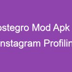 Postegro Mod Apk İle İnstagram Profilini Gizlice İnceleyin!