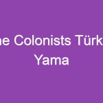 The Colonists Türkçe Yama